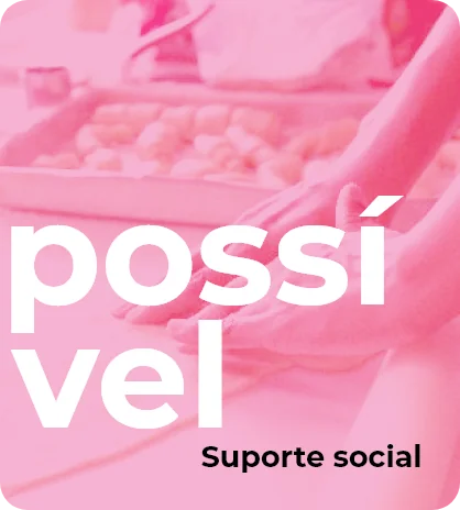 possivel - suporte social